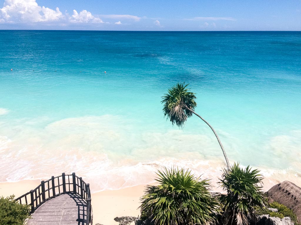 view on blue water, palm tree in Tulum