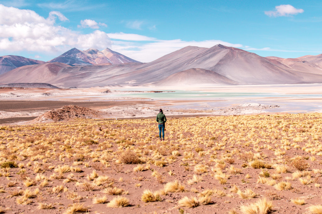 a woman in a green jacket standing in front of  the purple mountains and blue lake in Atacama which is one of the most beautiful places in South America