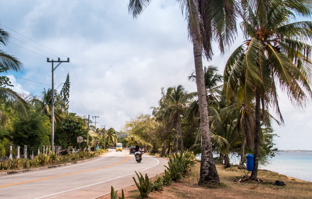 A coastal road on San Andres with palm trees and scooter driving on the street