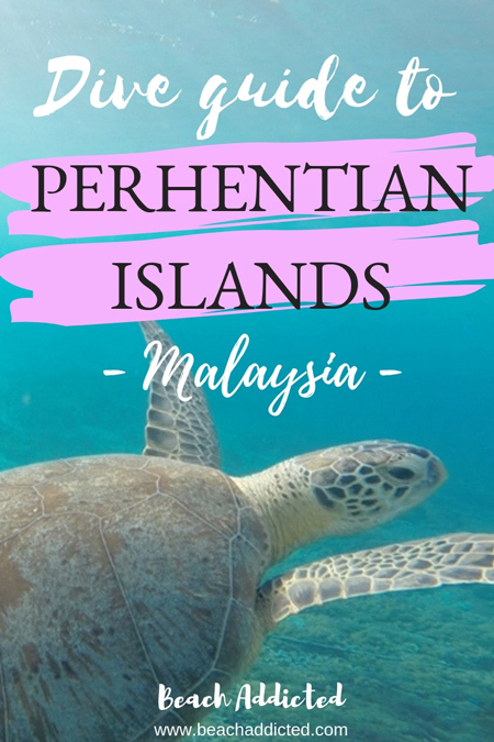 perhentian diving
#perhentianislands#perhentianislandsmalaysia#perhentianislandsdiving#malaysia#diving