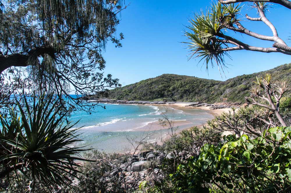 view on granite bay on one of the Noosa national park walks