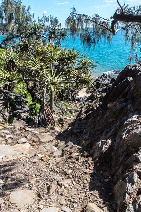a rocky path leading down to the ocean and the fairy pools noosa