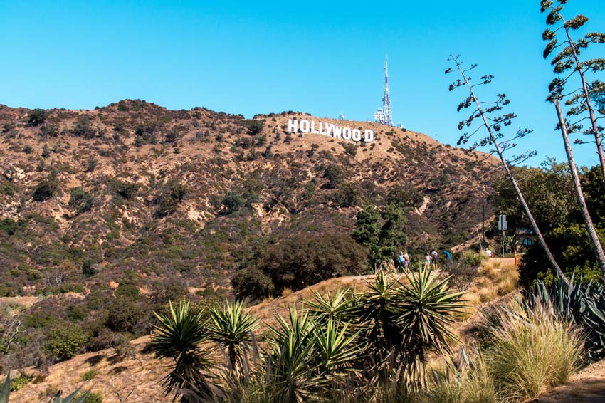 green hill with bushes and a view on the Hollywood sign with people standing at the background