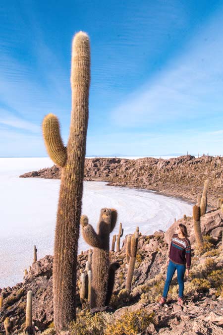 a woman standing next to the huge cactus on Incahuasi island in Salar