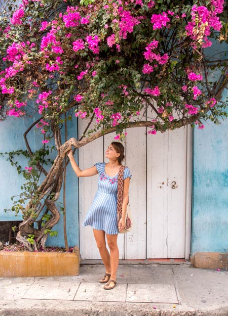 a women in the blue dress standing next to the tree with pink flowers, a blue wall and a white door