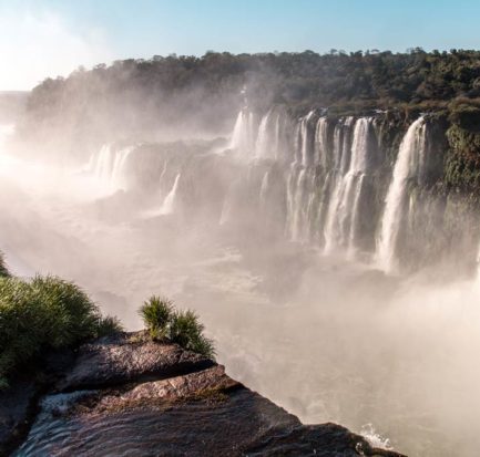 A view on cascading waterfall and green jungle in Iguazu falls, Argentina
