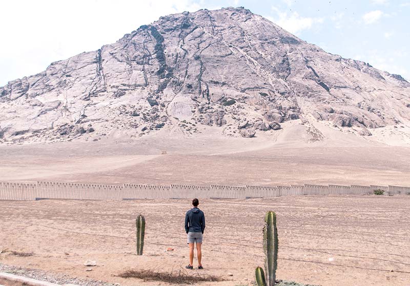 a men standing in front of the big grey hill with green cactuses and grey ground.