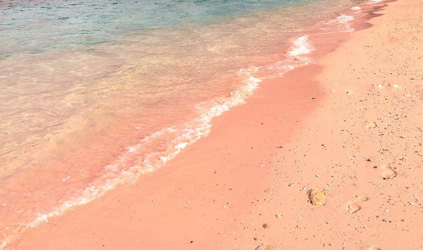 pink sand beach and blue water