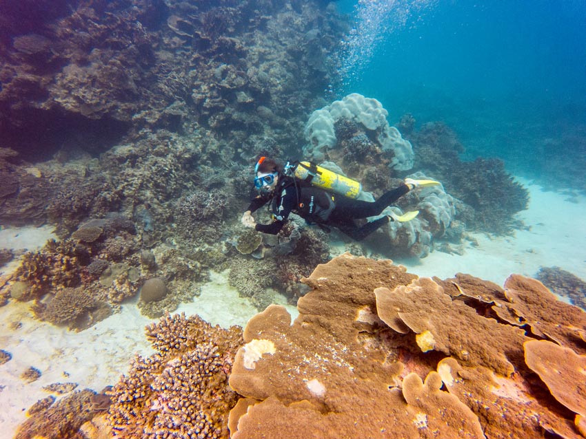female diver with diving gear diving in Ningaloo reef surrounded by orange coral walls, one of the best things to do in Coral bay in western Australia
